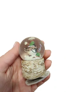 Zimní sněžítko ptáček